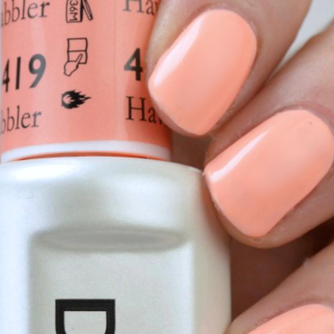 DND 419 Havin Cabbler