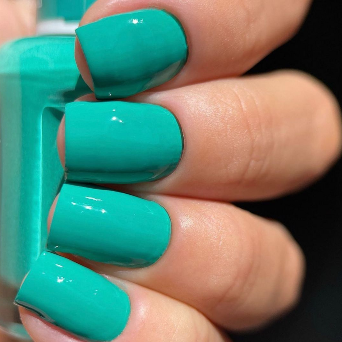 DND 438 Island Oasis