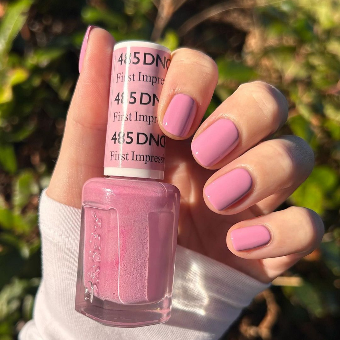 DND 485 First Impression