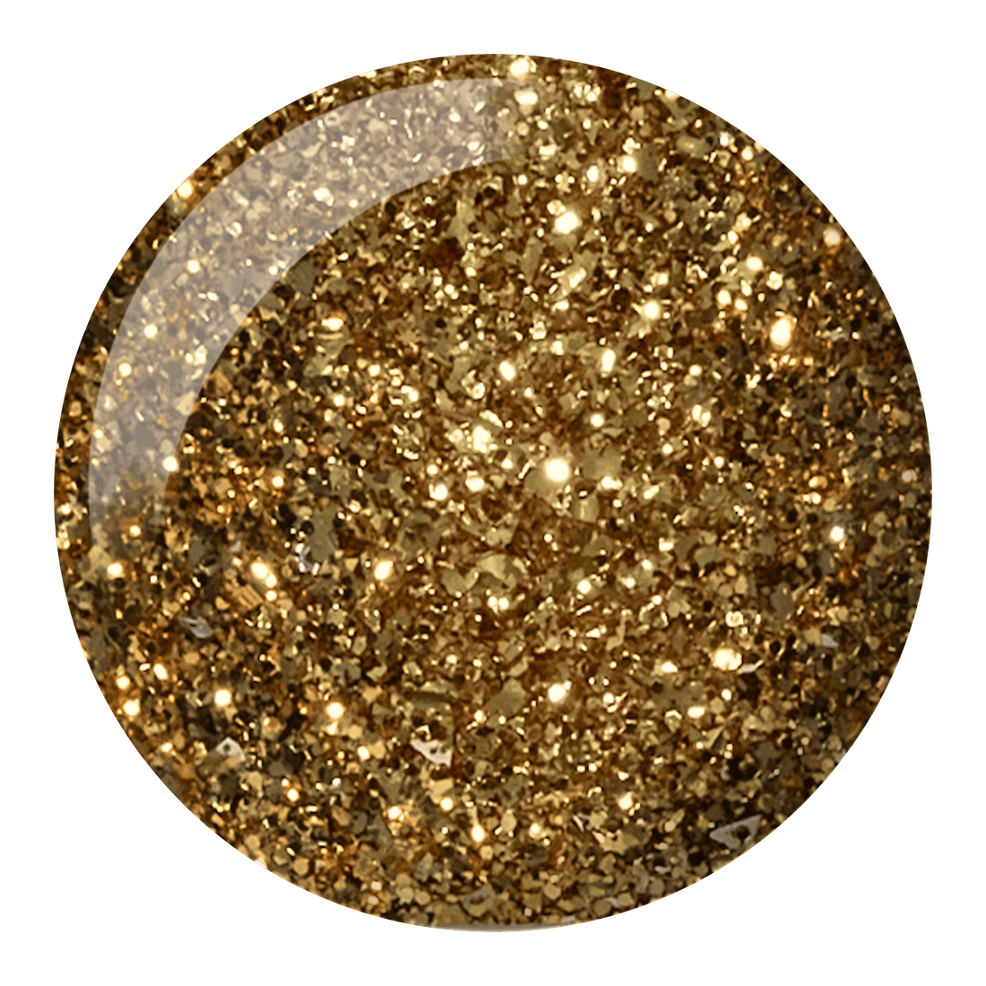 DND 546 Golden Gardens, WA