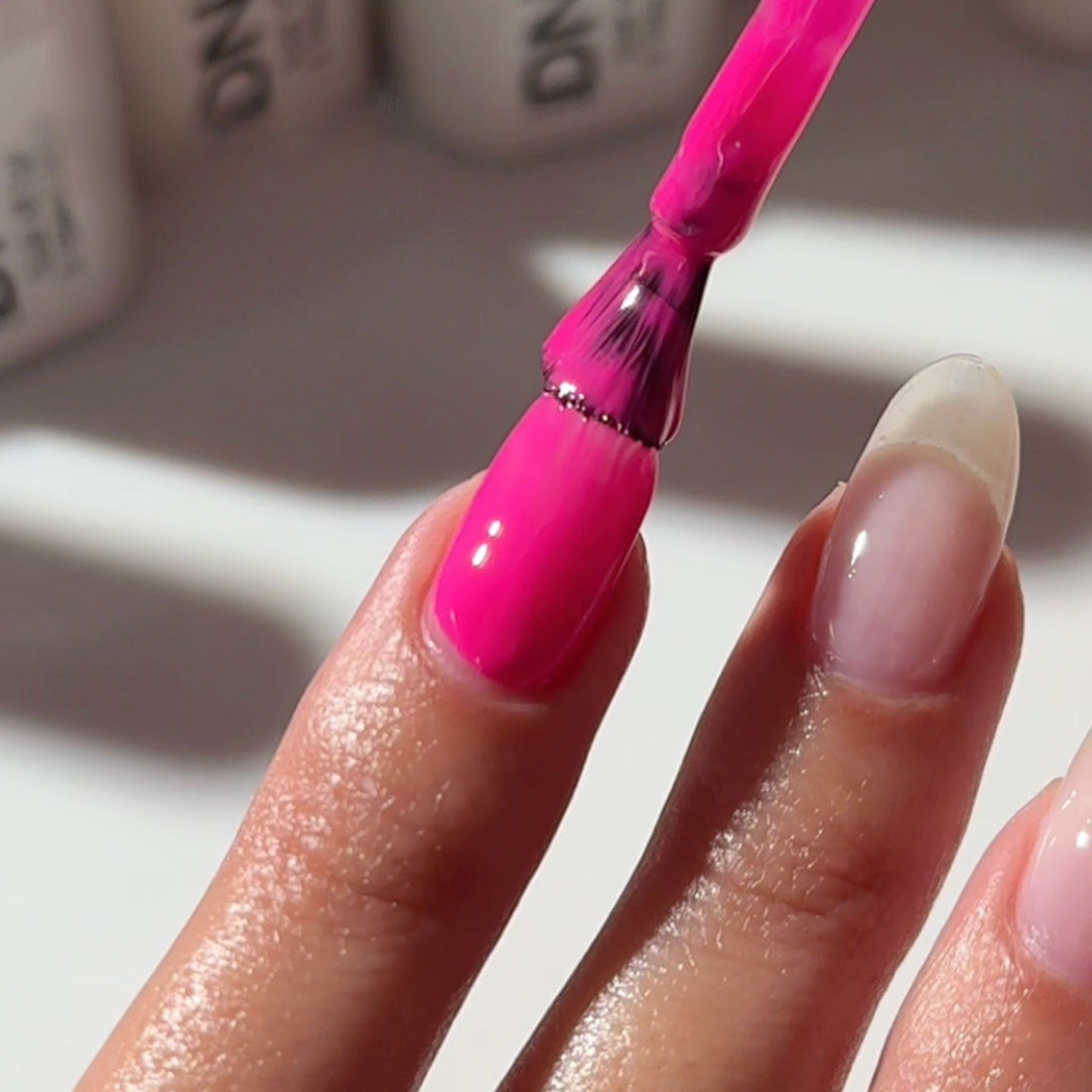 DND 559 Teenage Dream