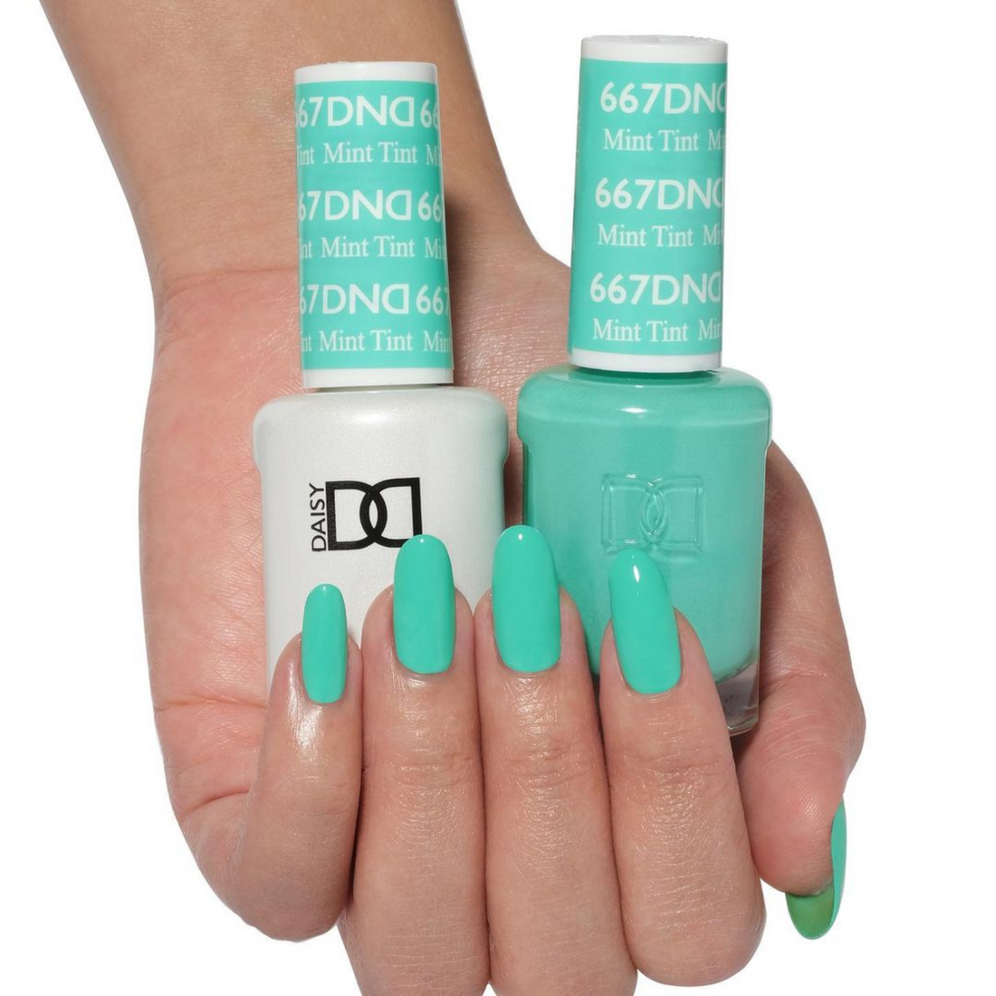 DND 667 Mint Tint