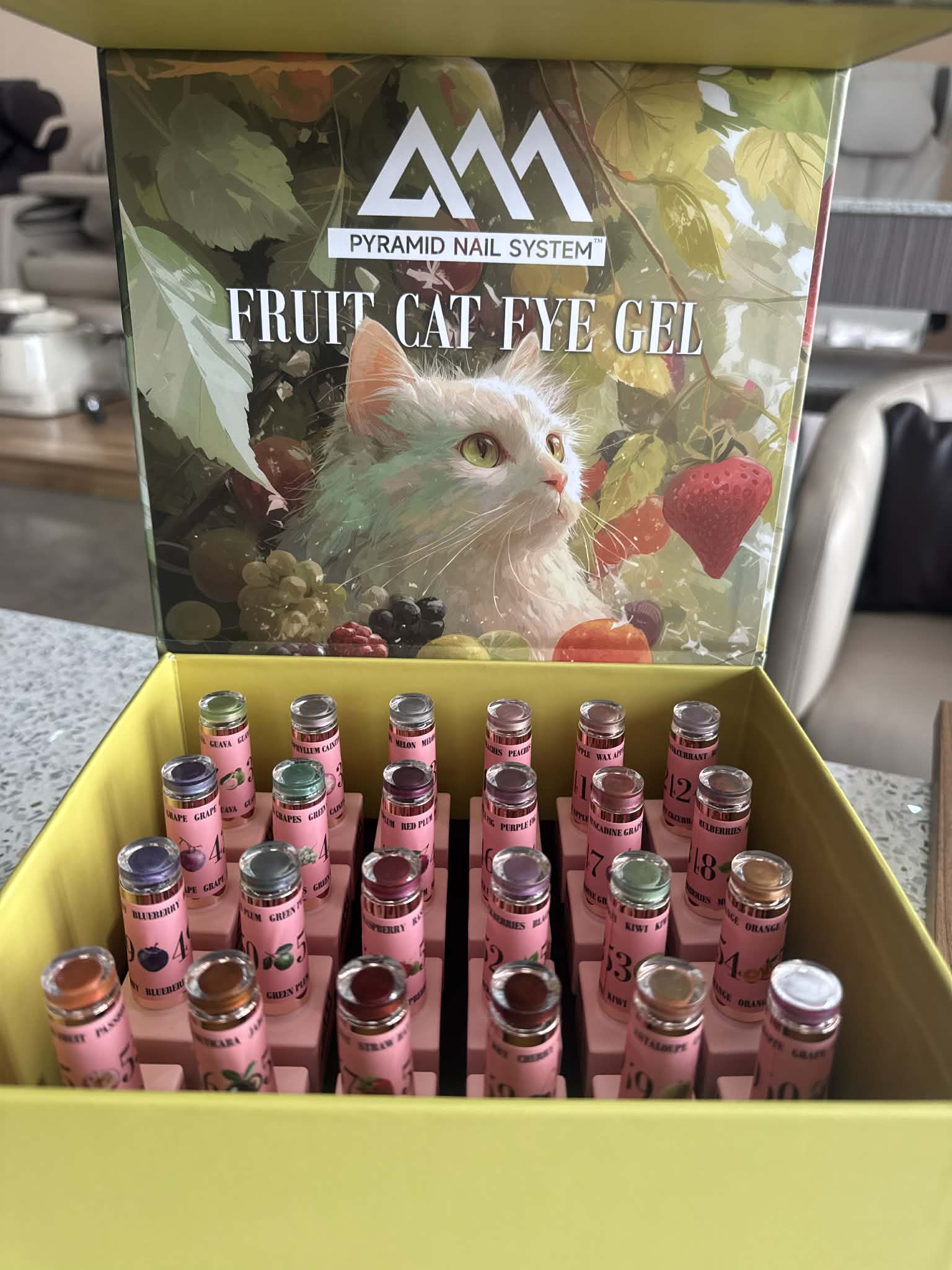 Pyramid Fruit Cat Eye Gel Box - 24 colors