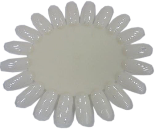 Bảng màu bánh xe - Tự nhiên - túi/10 chiếc