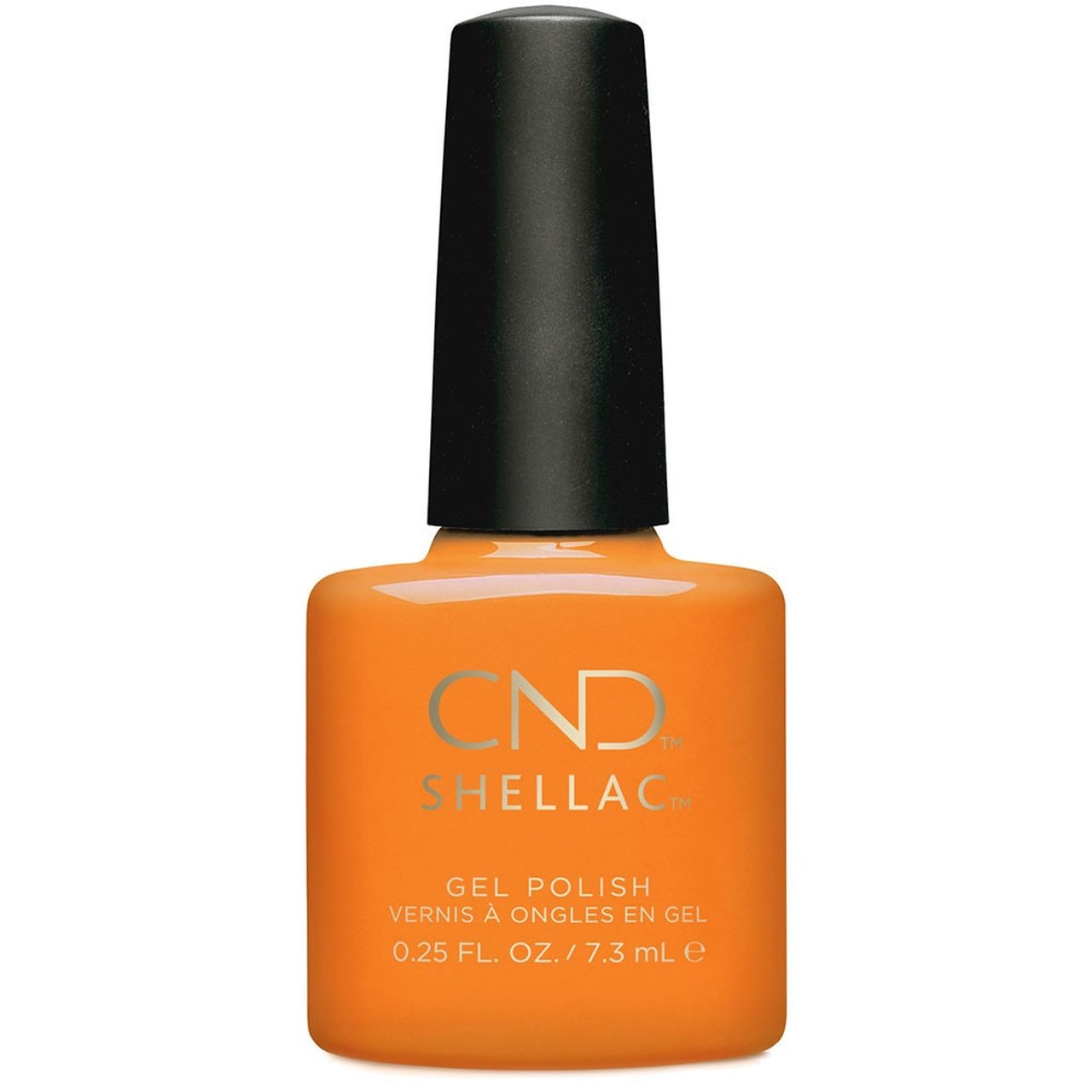 CND - Shellac giang hồ