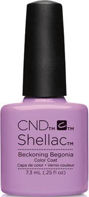 CND - Shellac vẫy gọi Begonia