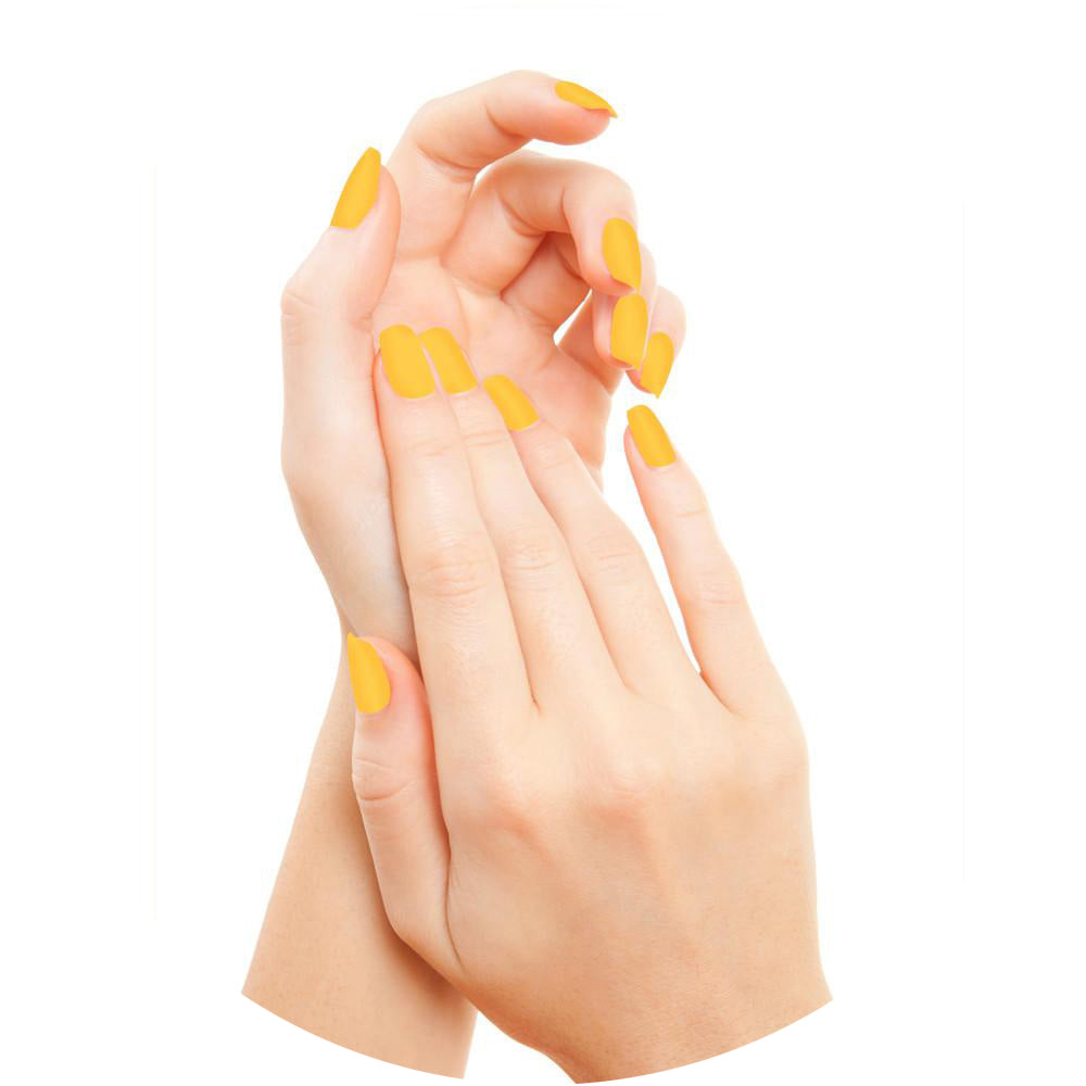 Nugenesis Dipping - Hướng dương NU 095