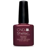 CND - Dòng máu Shellac