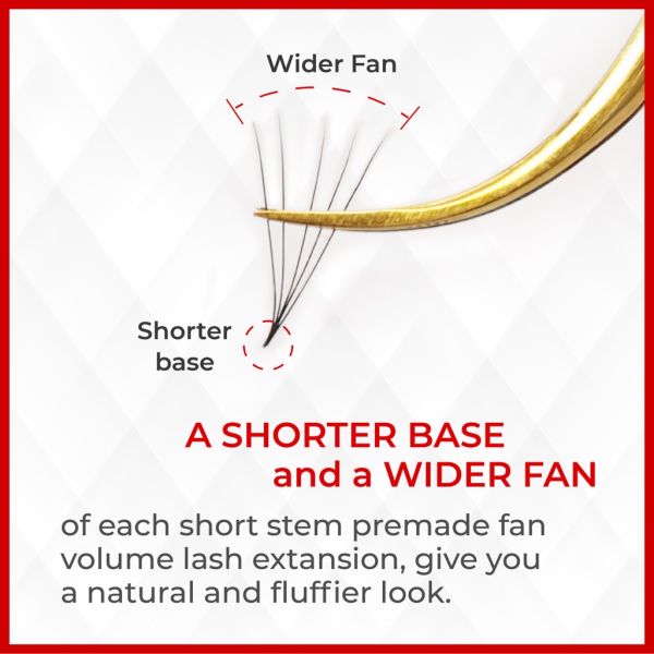 5D - 12 dòng - C curl - Hỗn hợp