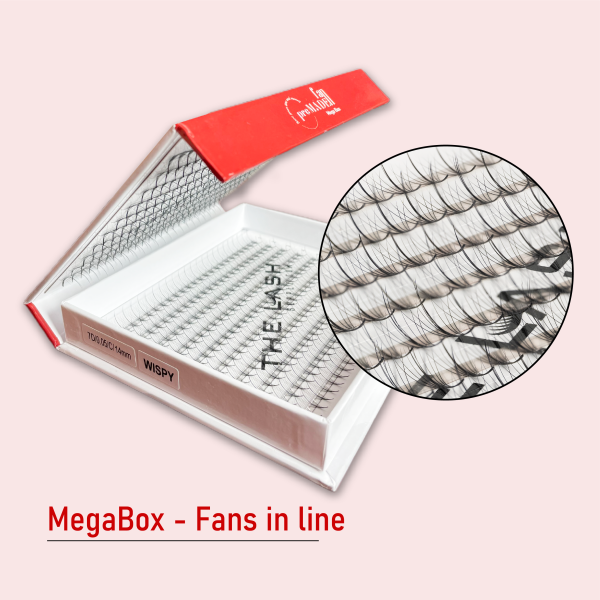 7D Wispy (Mega Box) - D - Mixed