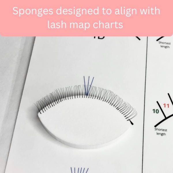 Lash Sponges for Practice with Map