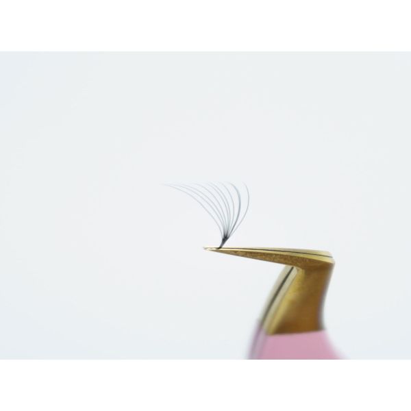 Narrow Promade Fan- 10D 0.05 CC (1000 Fan)