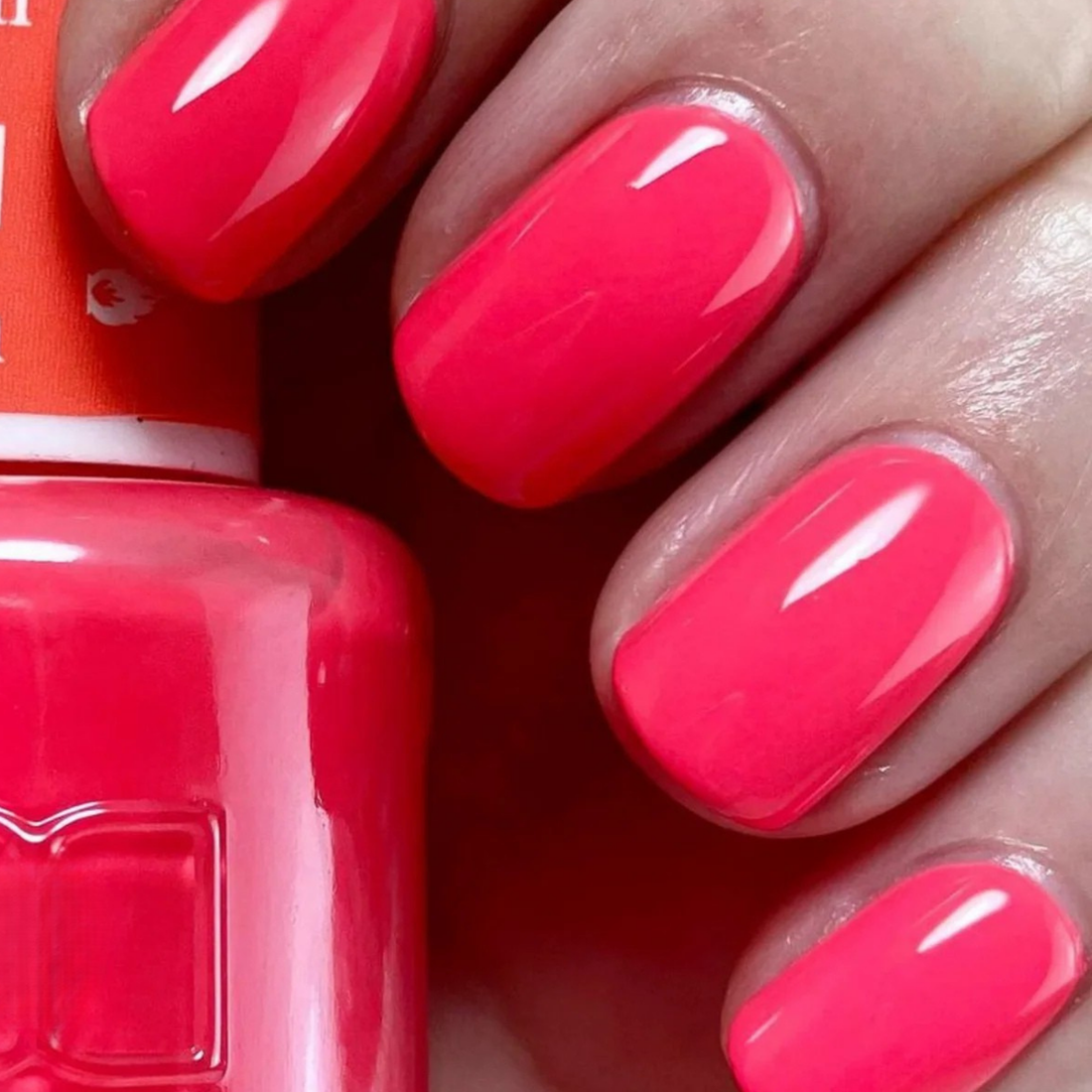 DND 651 Punch Marshmallow