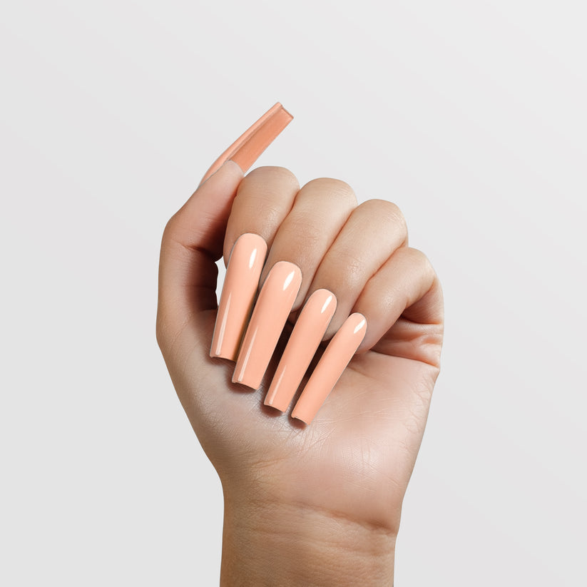 Chaun Legend Dip Powder Runway  A2.129