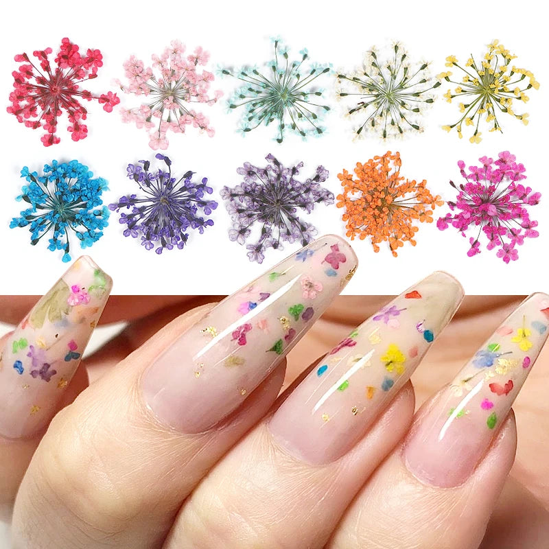 10Pcs 3D Dried Flower Nails Art Decorations Natural Floral Nail Charms Jewelry Set Nail Supplies For Professionals Accessories
