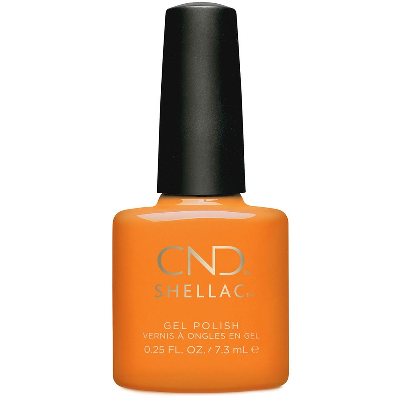 CND - Shellac giang hồ