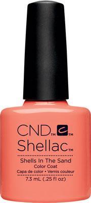 CND - Shellac Shells In The Sand