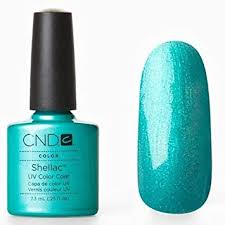 CND - Shellac Hotski To Tchotchke